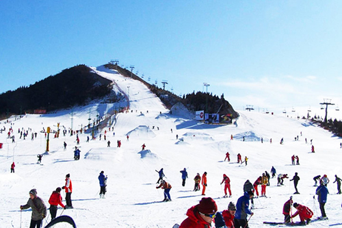 即墨莱阳金山滑雪场