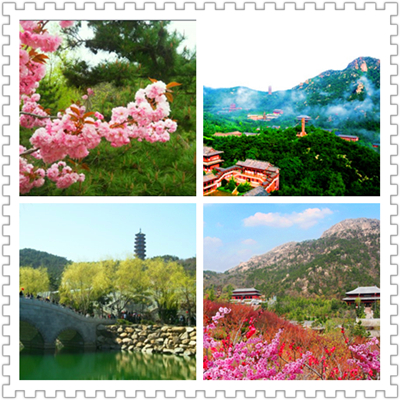 青岛到华东五市旅游团