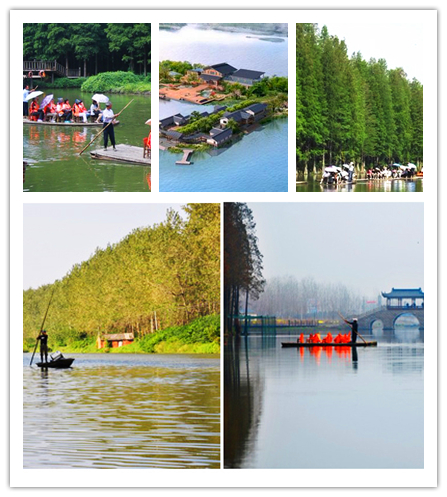 溱潼湿地