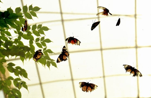 沂水萤火虫水洞
