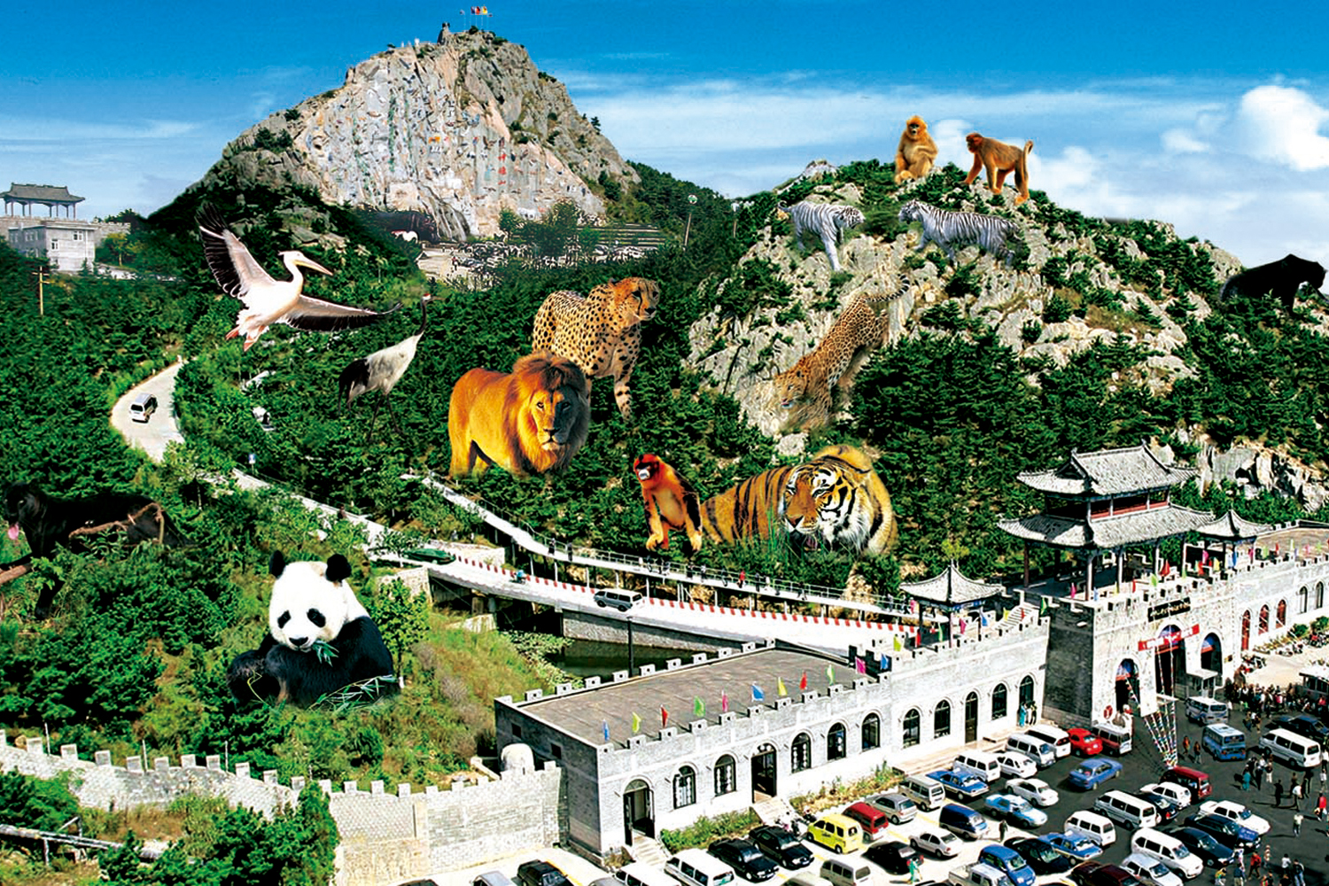 威海西霞口神雕山动物园