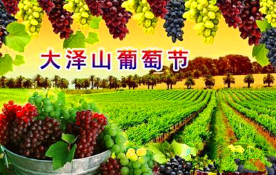 2014大泽山葡萄酒
