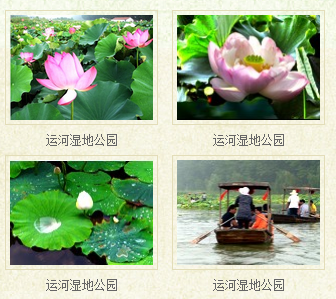 台儿庄湿地公园