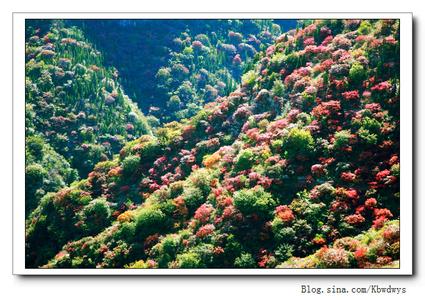 青州云门山赏红叶