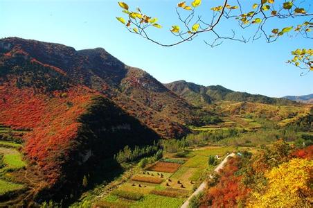 沂源凤凰山一日游